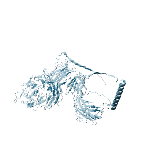 Human ITGA5 (C-6His, HEK293)